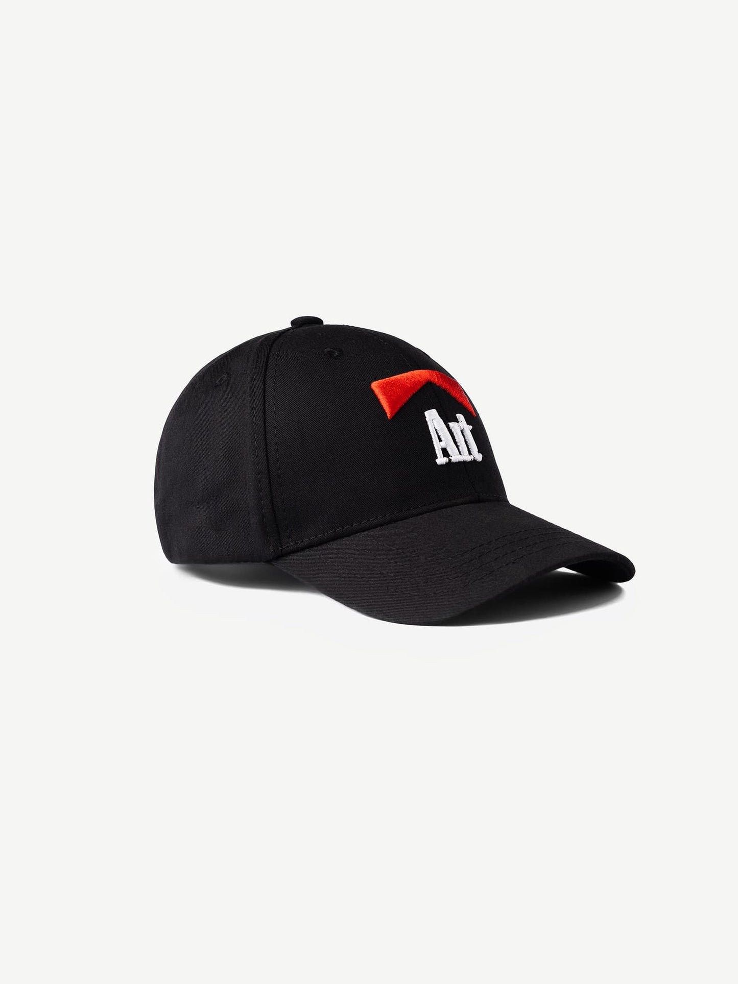 THE ARTIST Graphic Cap