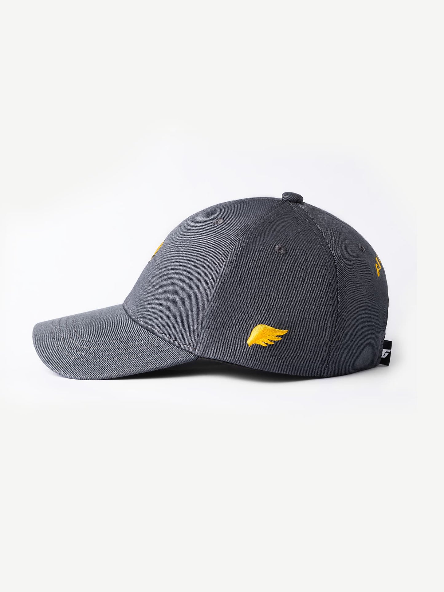 SMILEY DAY Cap Slate Blue-Grey