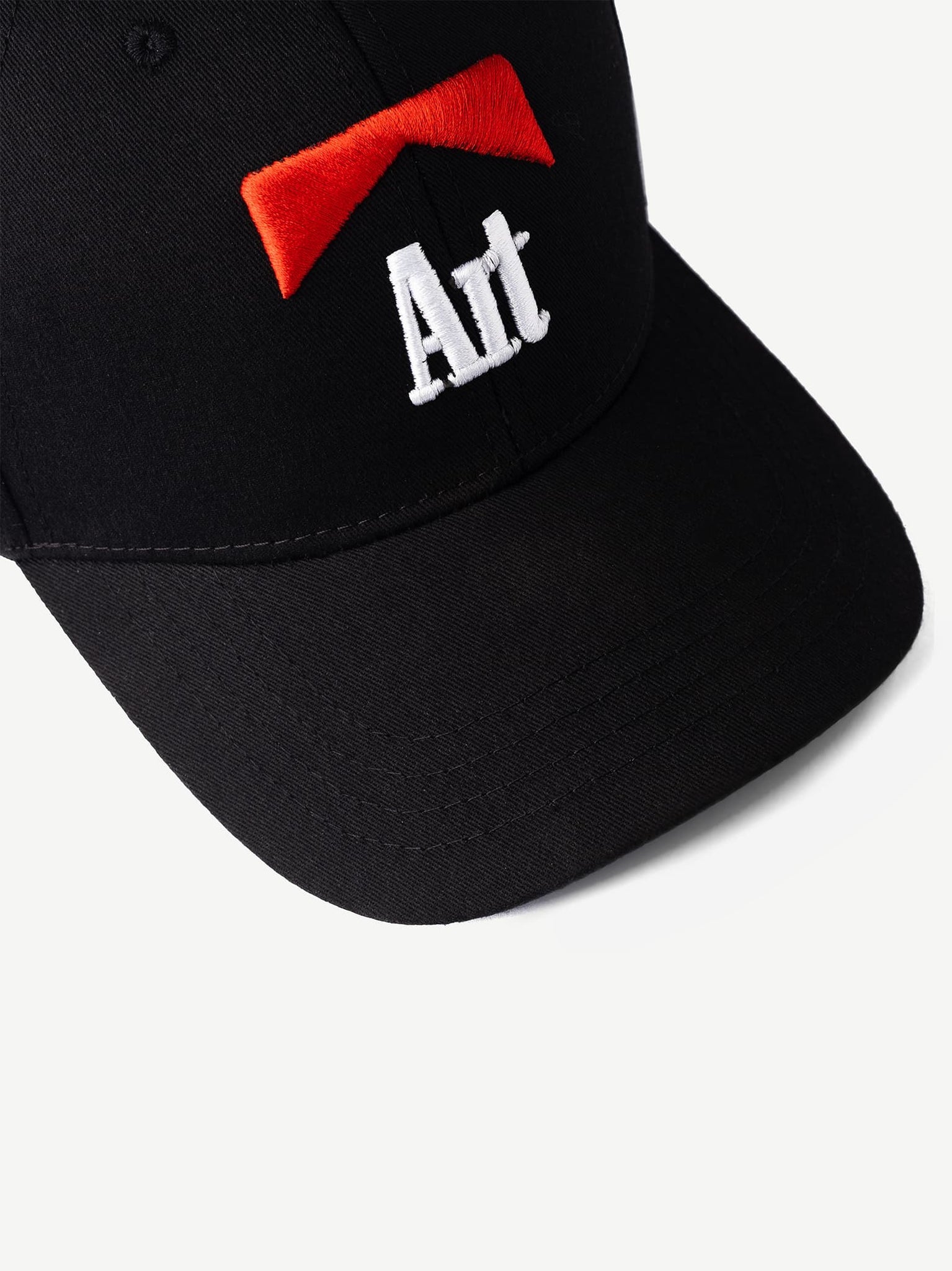 THE ARTIST Graphic Cap