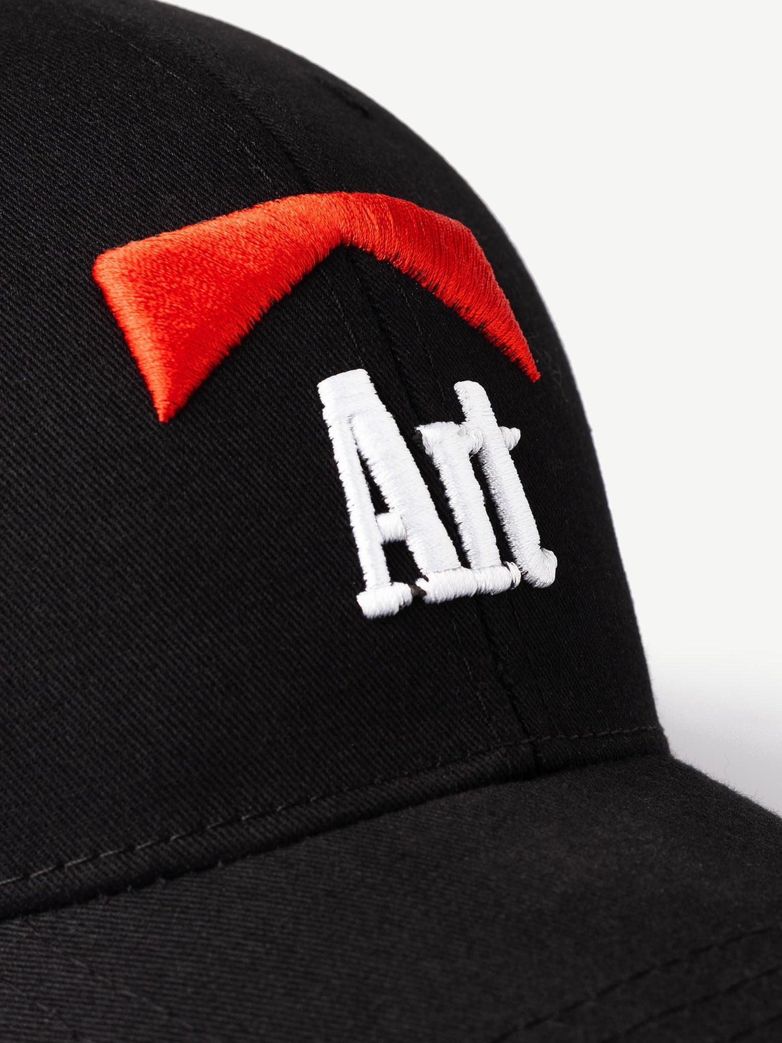 THE ARTIST Graphic Cap